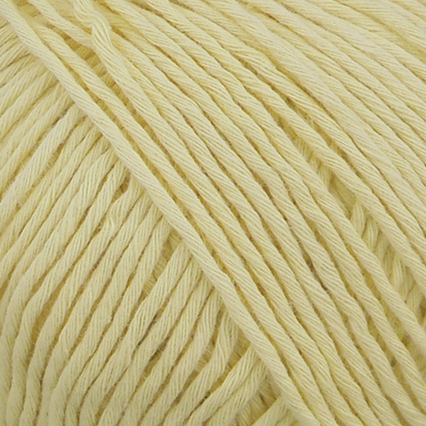 Fibranatura Cottonwood Organic Cotton 8ply - Yarn + Cø - 41103 - Pale Green - Yarn